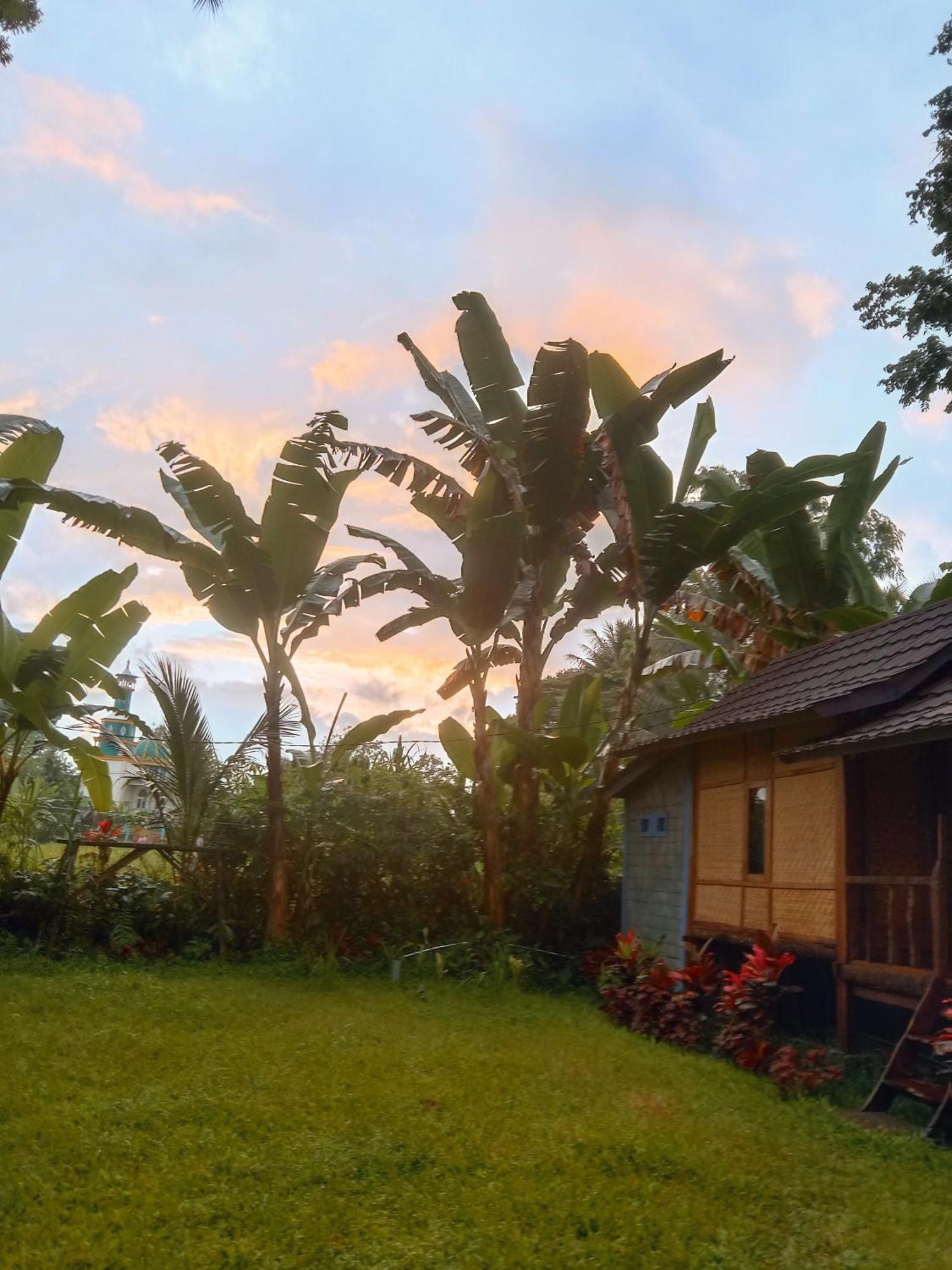 Banana Bungalows Tetebatu Room photo