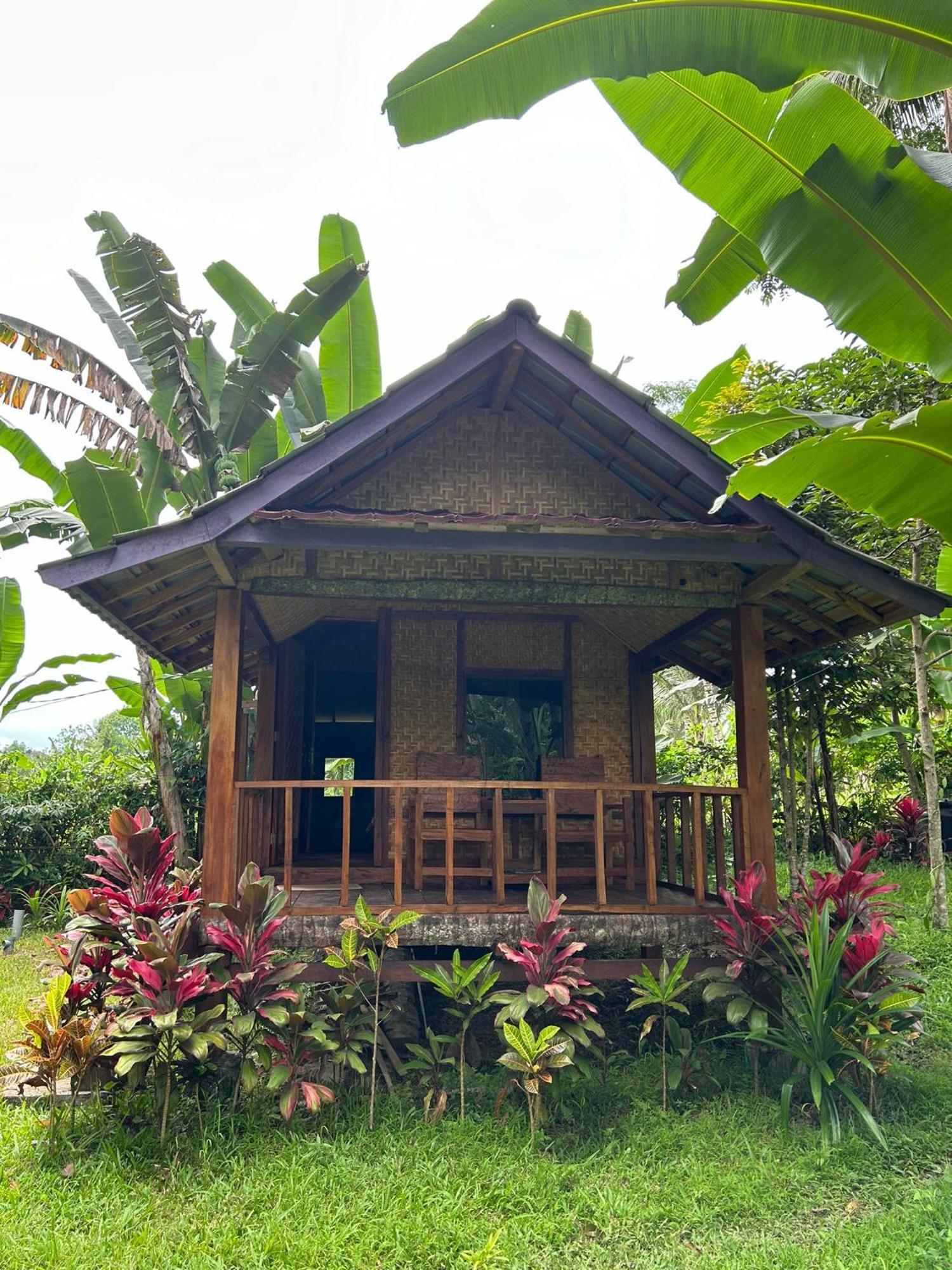 Banana Bungalows Tetebatu Room photo