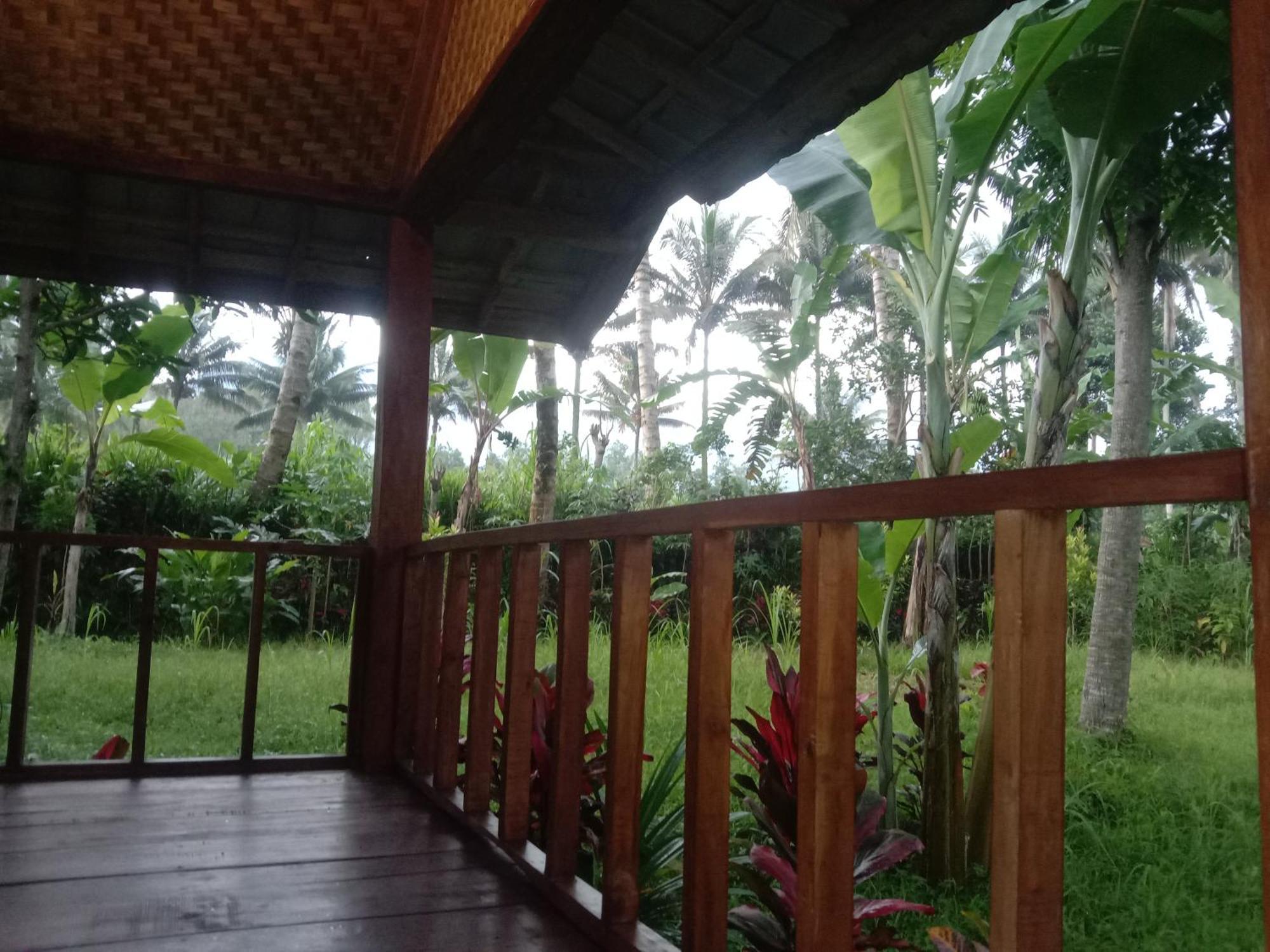 Banana Bungalows Tetebatu Room photo